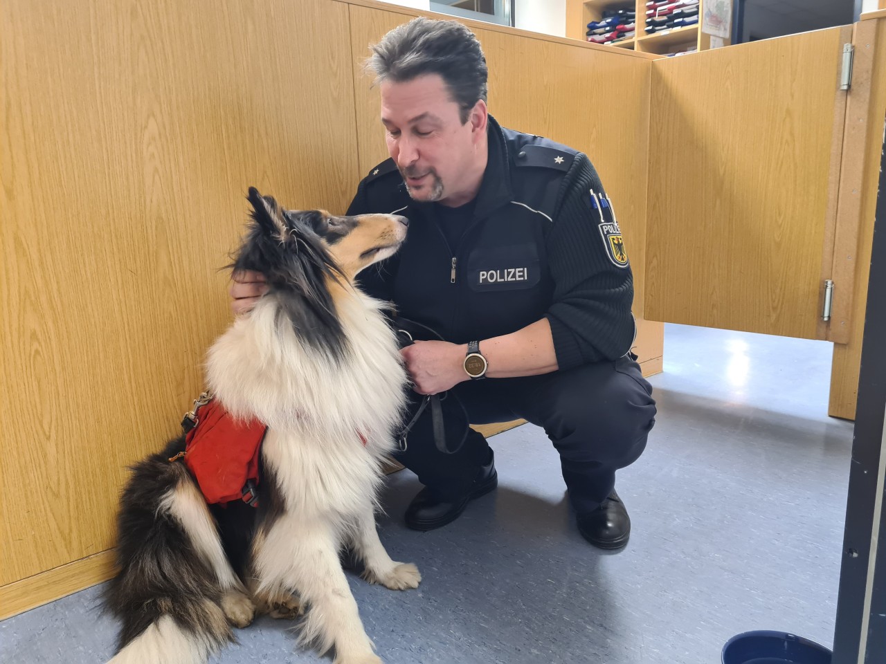 Die Hündin in Obhut der Bundespolizei in Hamburg. 