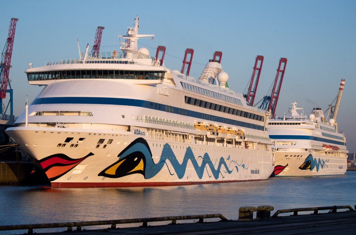 Aida Kreuzfahrt Corona Hamburger Hafen Hamburg TUI Umwelt Die Linke