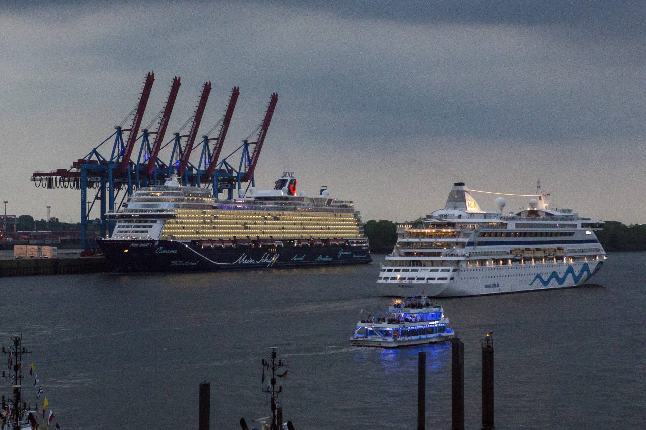 Eine Aufnahme zeigt die Kreuzfahrtschiffe Mein Schiff 1 und „Aida Vita“ im Hamburger Hafen. (Archivfoto)