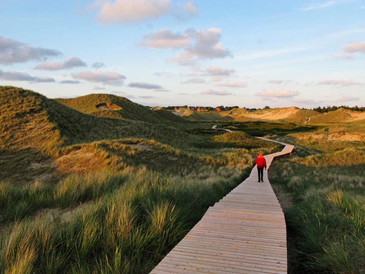 Amrum Urlaub Nordsee Nordfriesland Ferienwohnung Ebay Betrug Touristin Facebook Betrugsmasche Enttäuschung