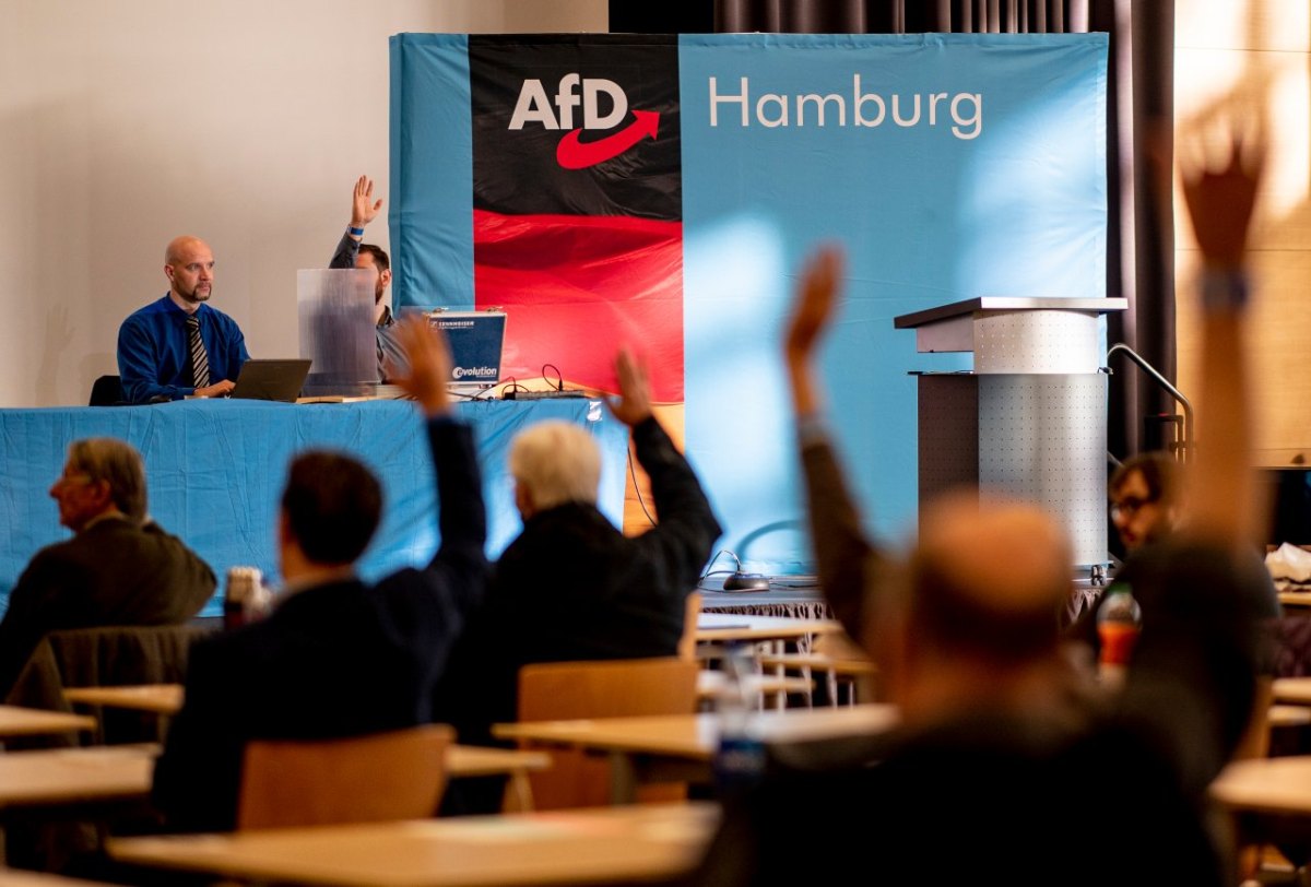Bundestagswahl Hamburg AfD.jpg