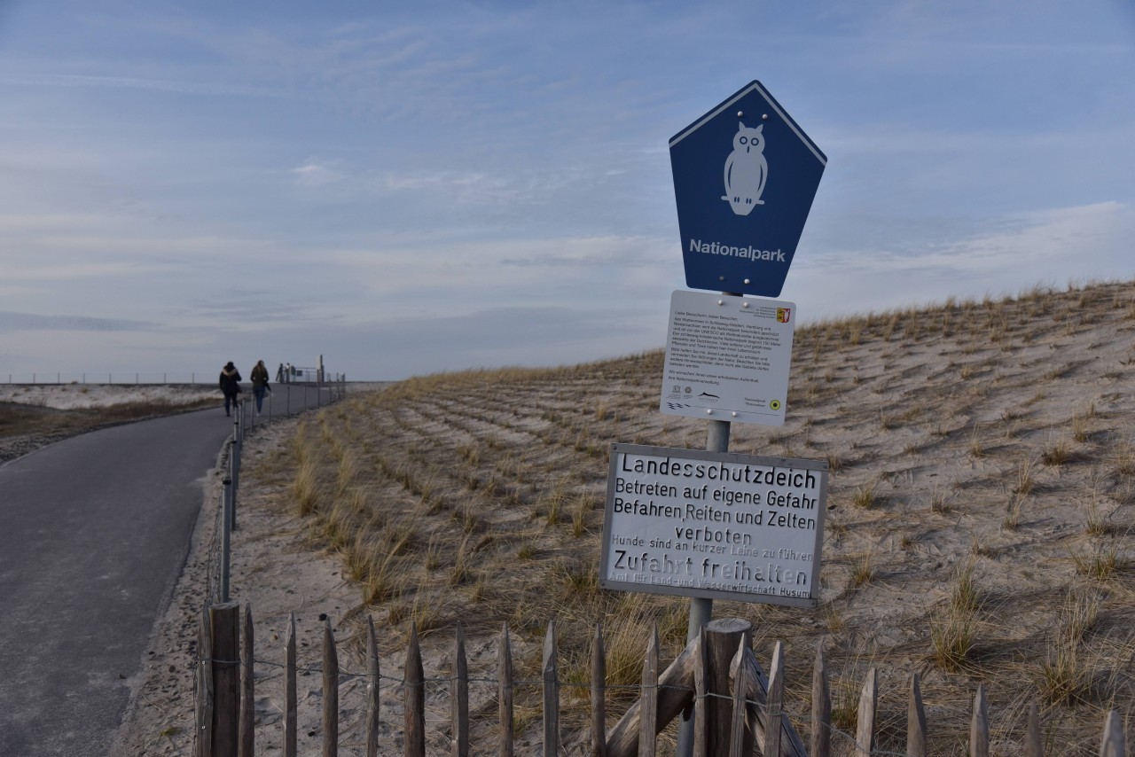 Die Deiche auf Sylt sind beliebt bei Menschen und Tieren