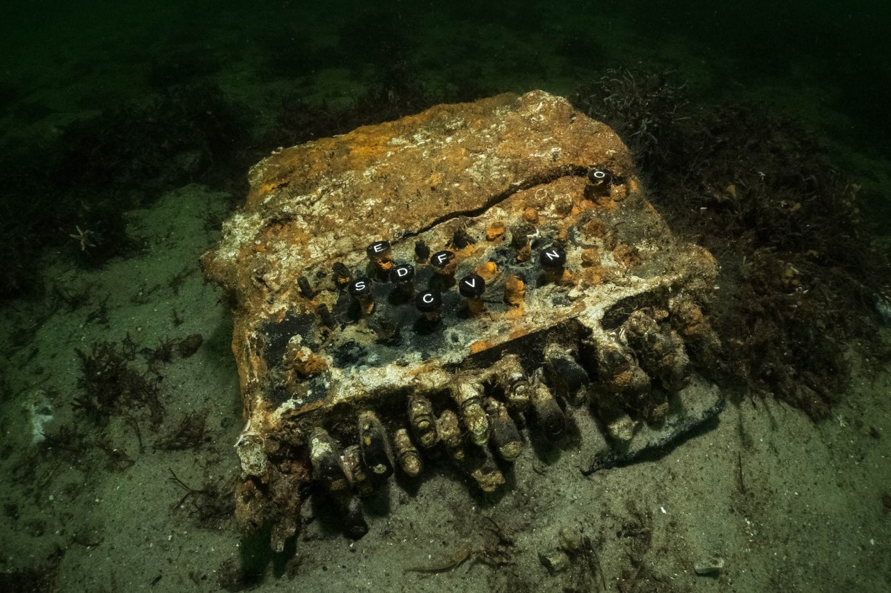 Das ist das gute Stück aus der Ostsee: „Heute sehr selten und historisch bedeutsam“