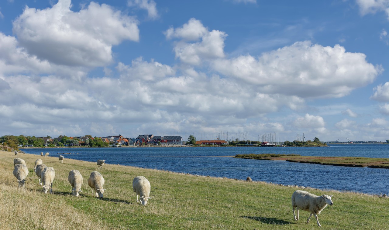 Auf Fehmarn werden Immobilien immer teurer. 