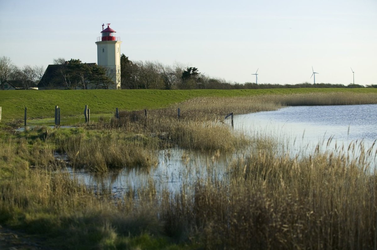 Fehmarn Ostsee Urlaub Parken Auto Gebühr Parkplätze Deich Strand Westermarkelsdorf