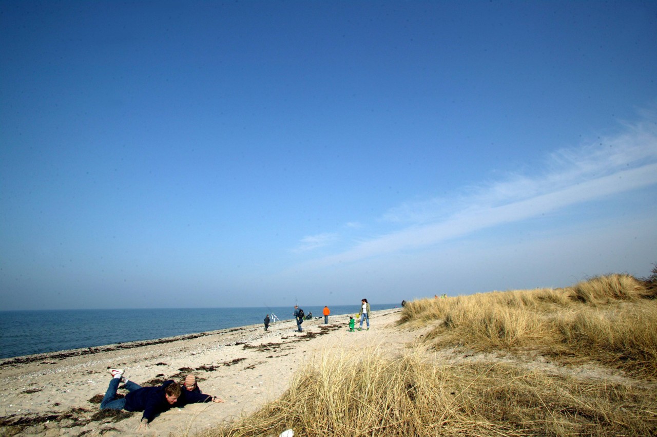 Einheimische und Fans der Sonneninsel Fehmarn sind wütend (Symbolbild). 