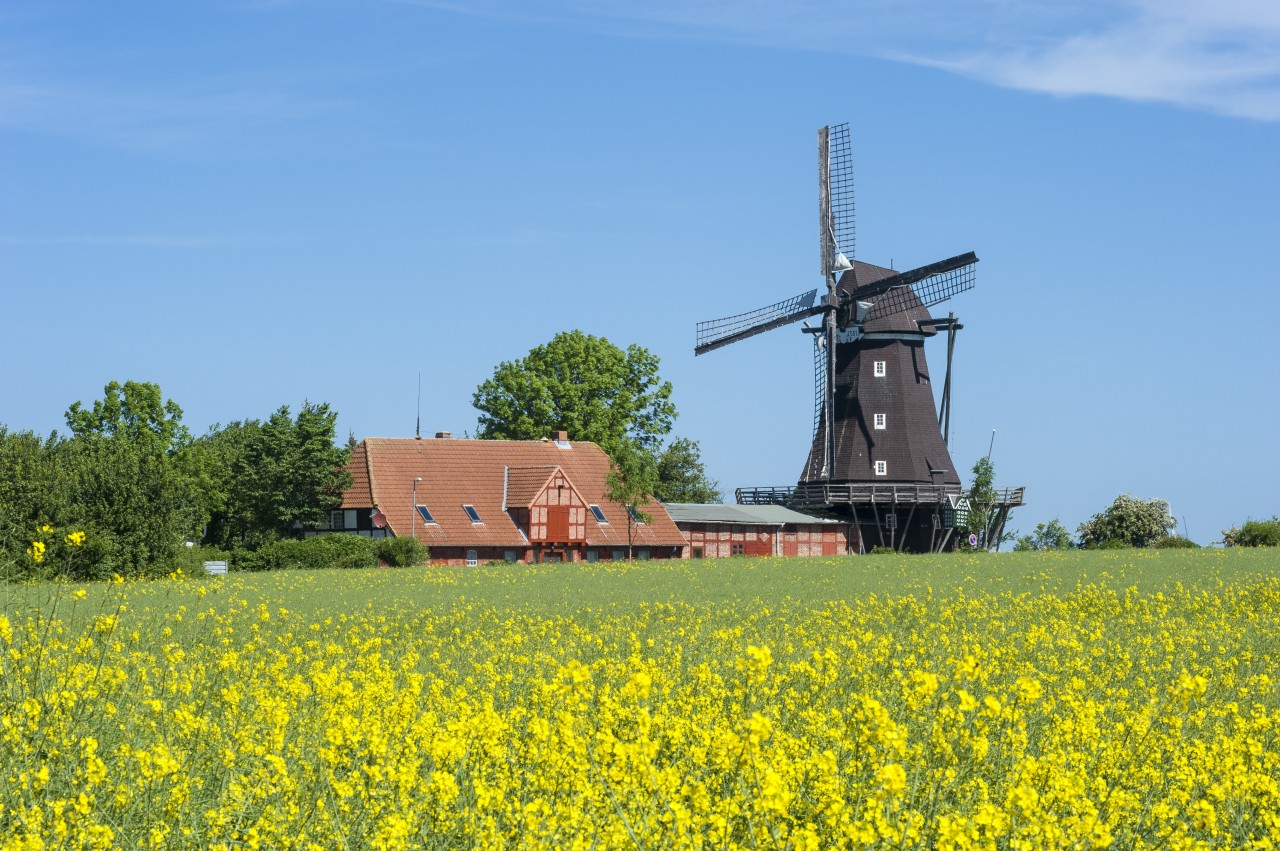 Idyllische Aufnahme von Fehmarn.