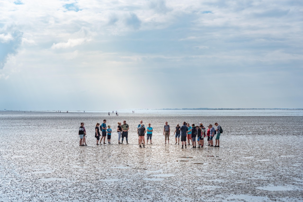 Ferien an der Nordsee: Urlauber bei einer Wattwanderung.