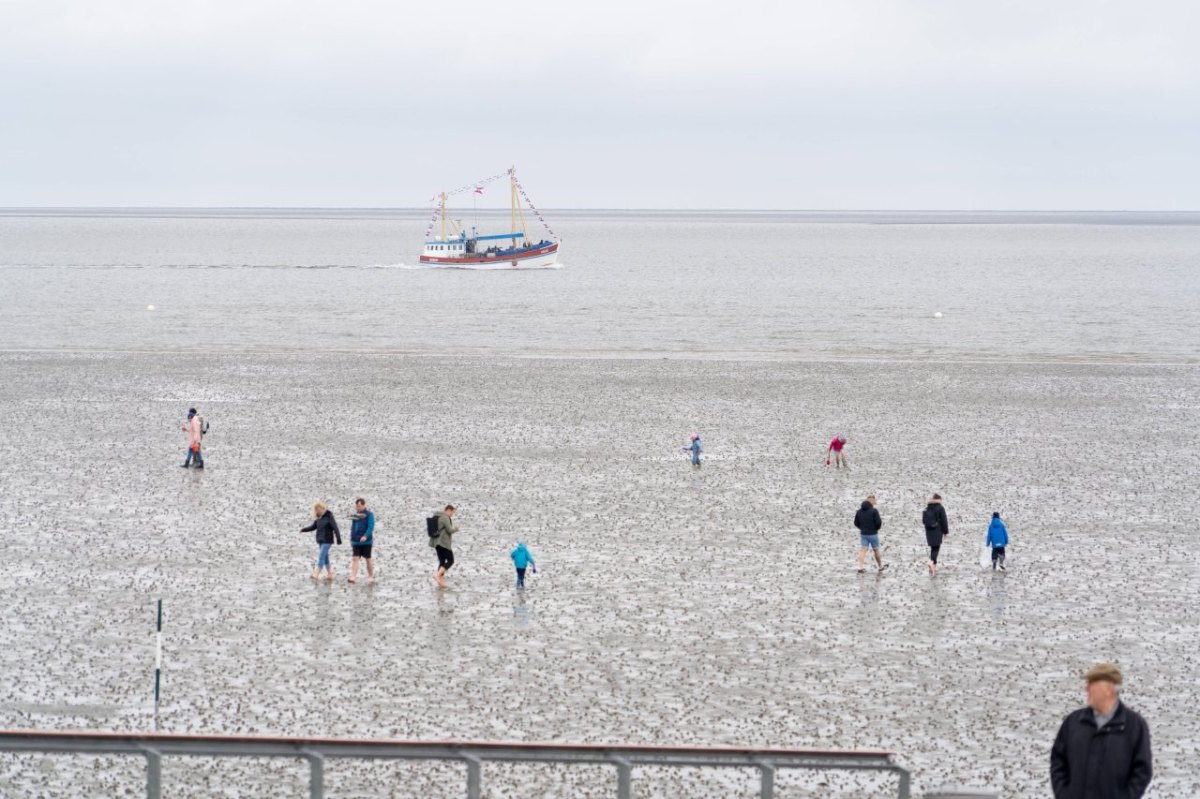 Ferien an der Nordsee Wetter Watt.jpg