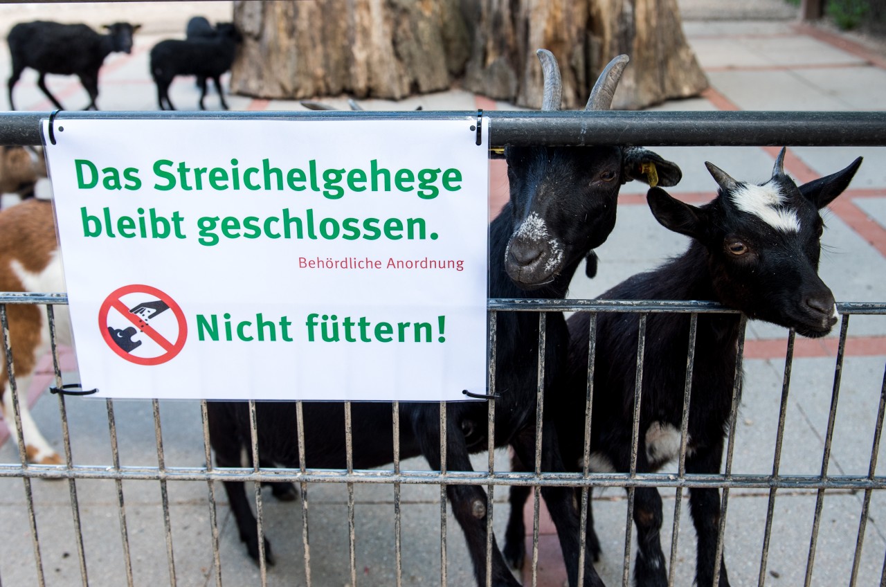 Ein Schild am Ziegengehege im Tierpark Hagenbeck weist auf die behördliche Anordnung hin. 
