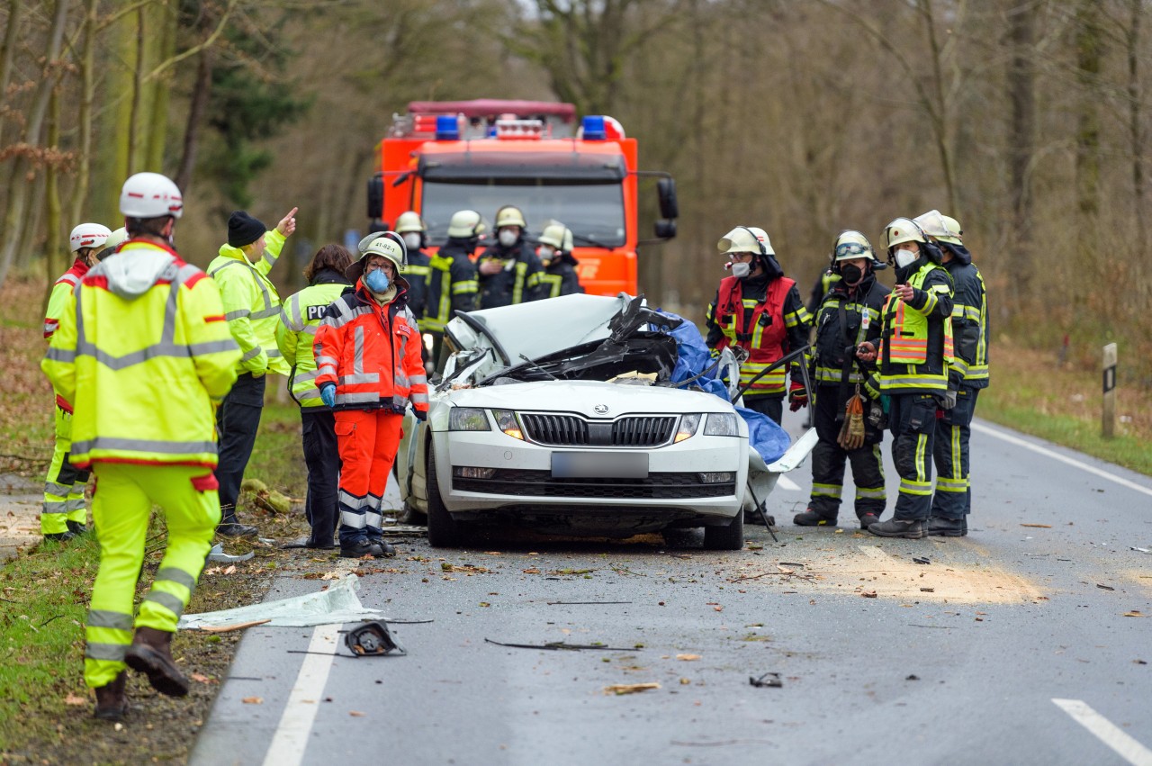 In Bad Bevensen, etwa 100 Kilometer südlich von Hamburg, erschlug ein Baum einen 37-jährigen Autofahrer.