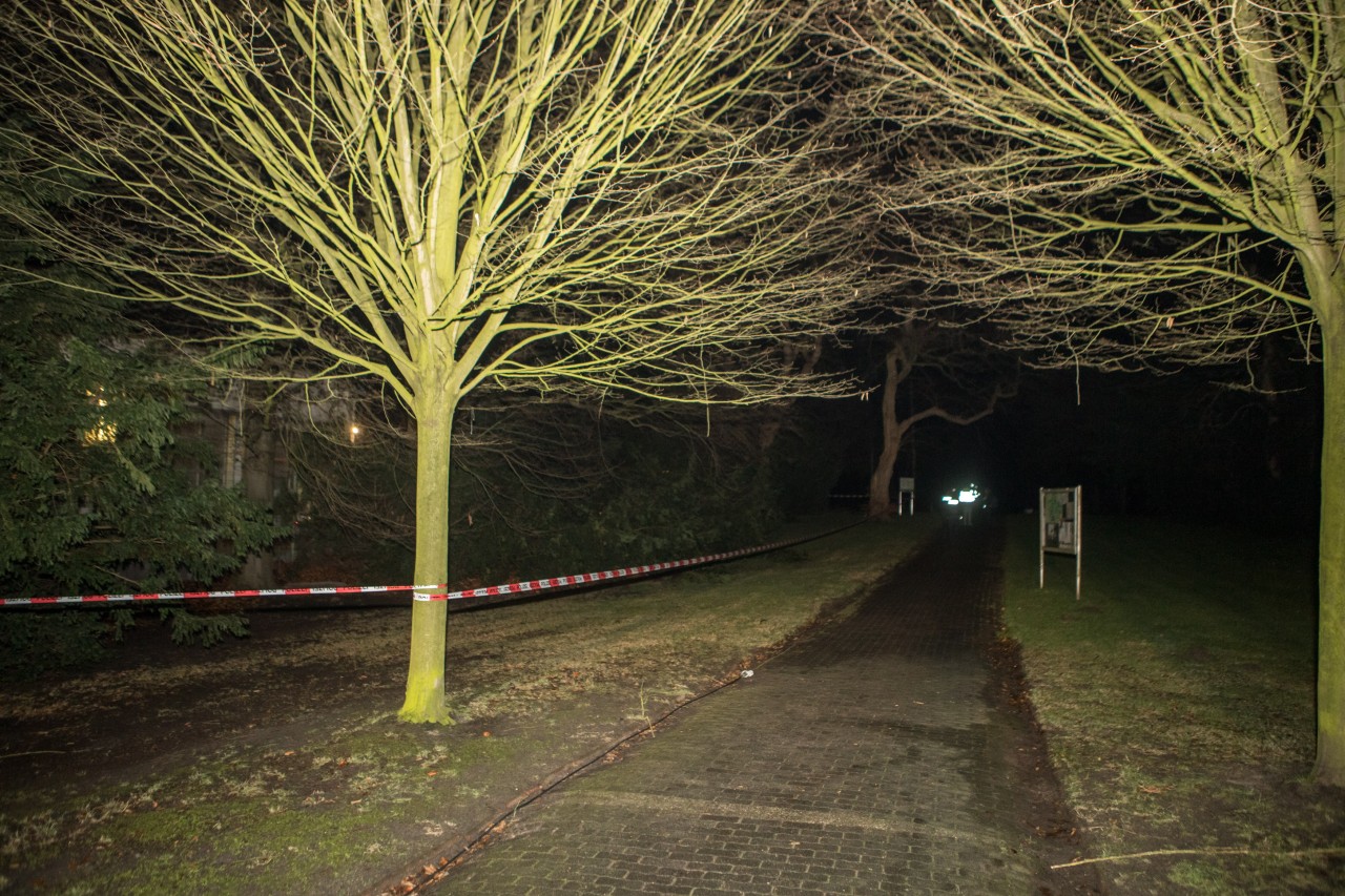 Der Friedhof in Hamburg