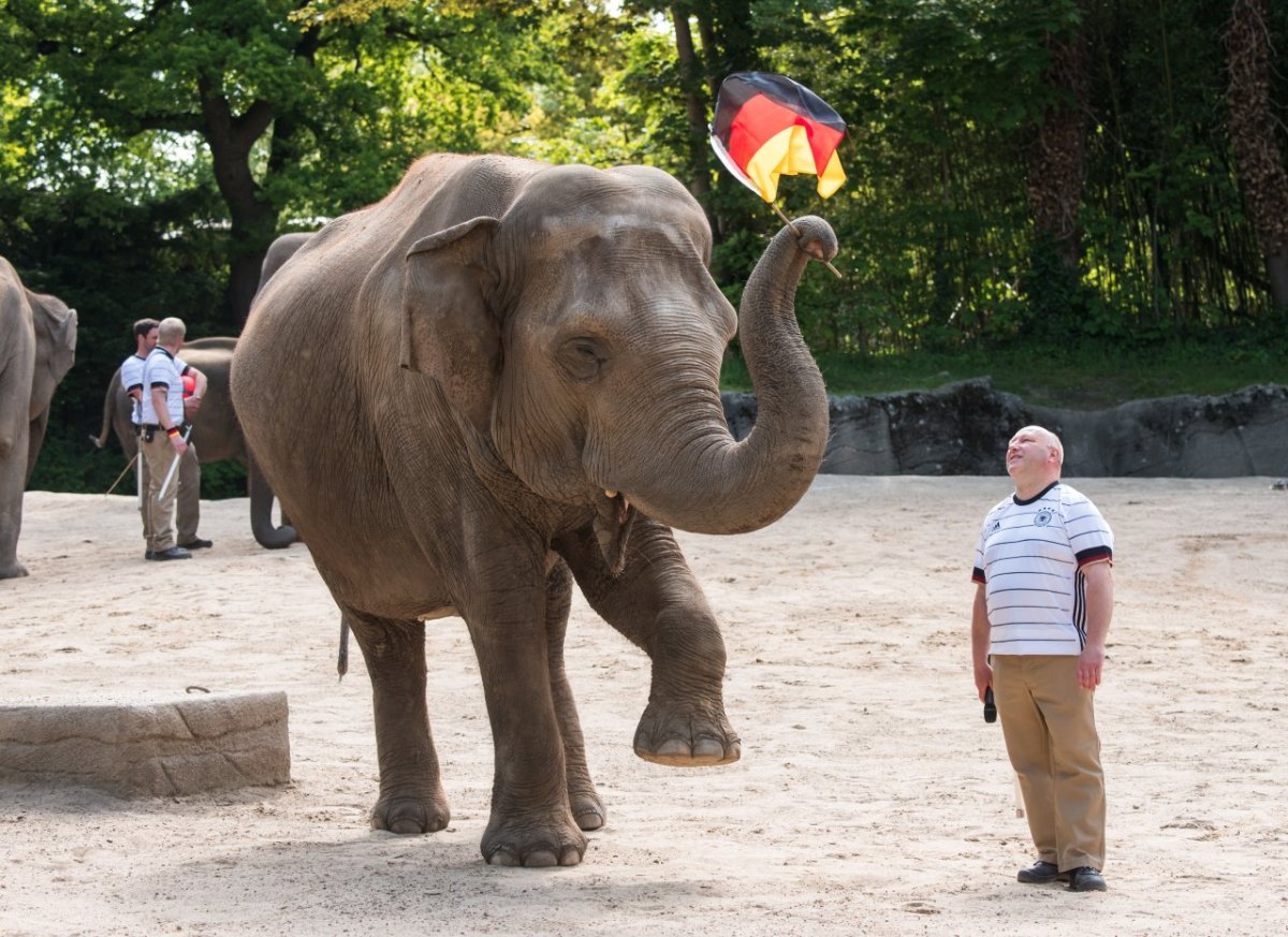 Hamburg Hagenbeck.jpg