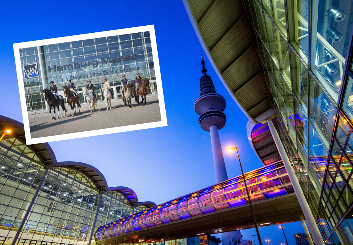Hamburg Hansepferd Messe Absage Neumünster Hannover Corona Congress