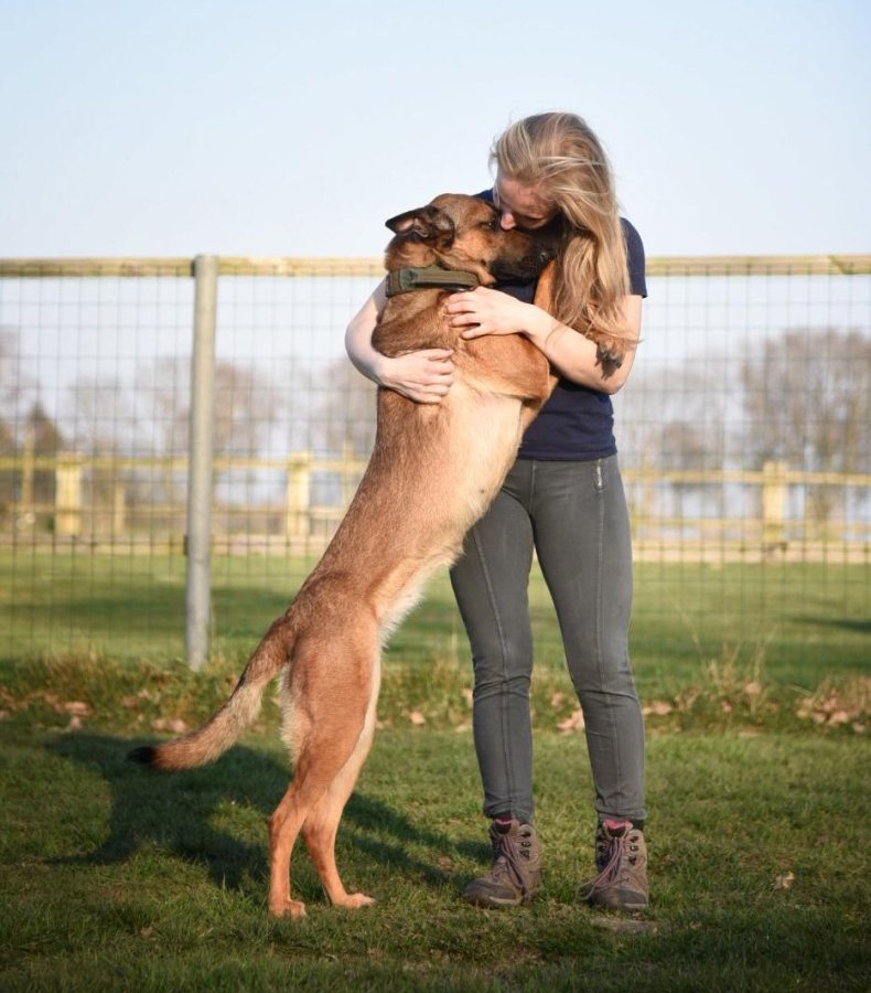 Hamburg Malinois Diensthund Schäferhund Instagram