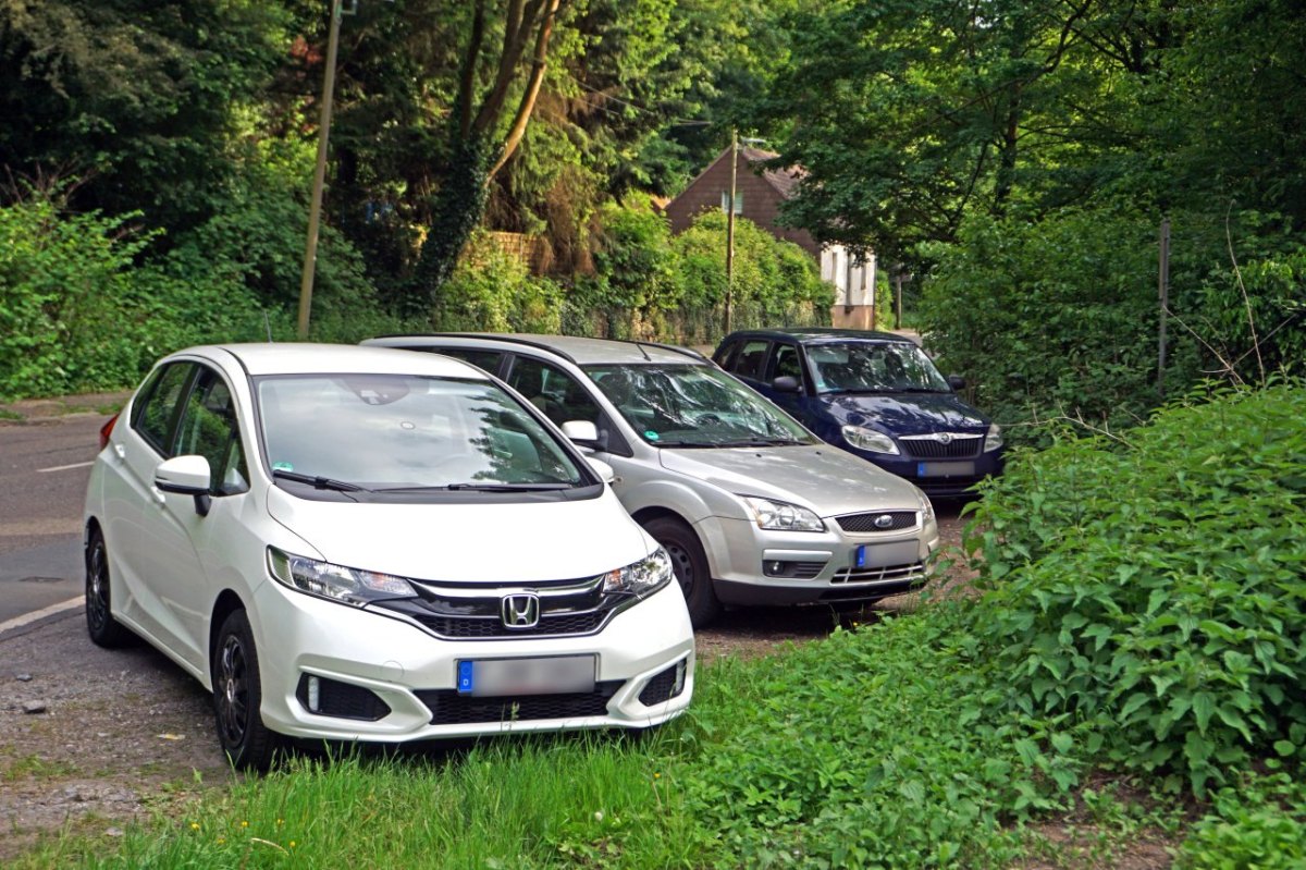 Hamburg Mann Heide Ausflug Natur Auto Fahrzeug Schaden Unfall.jpg