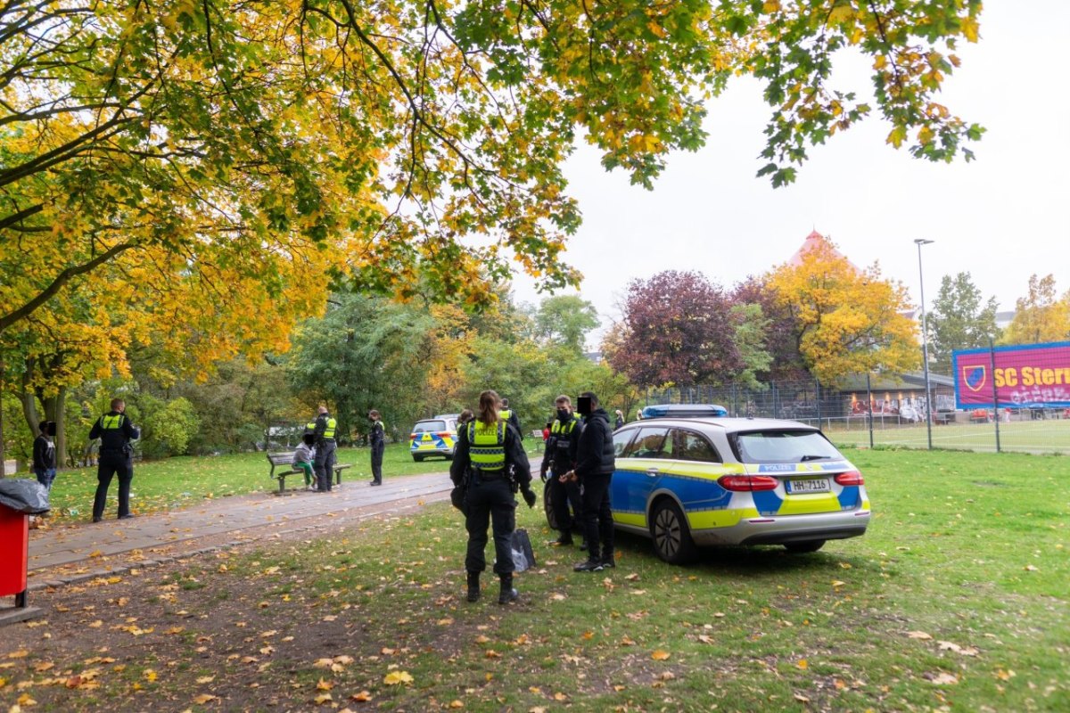 Hamburg-Schanzenpark.jpeg