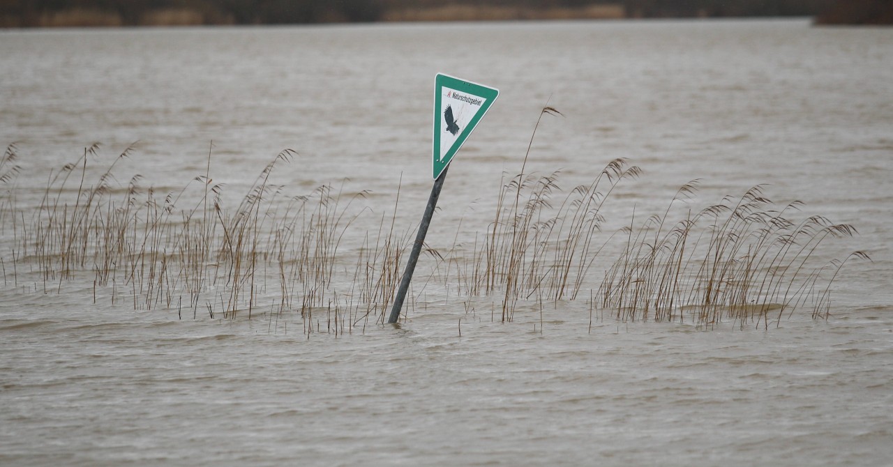Sturmflut in Hamburg und Bremen. Bereits gestern wurden hohe Pegelstände an der Norderelbe gemessen. 