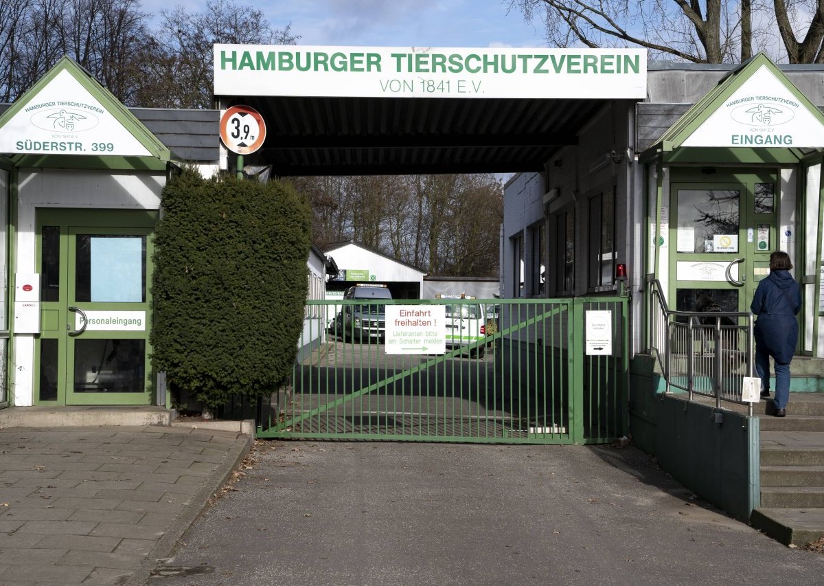 Hamburg Tierheim Ferien