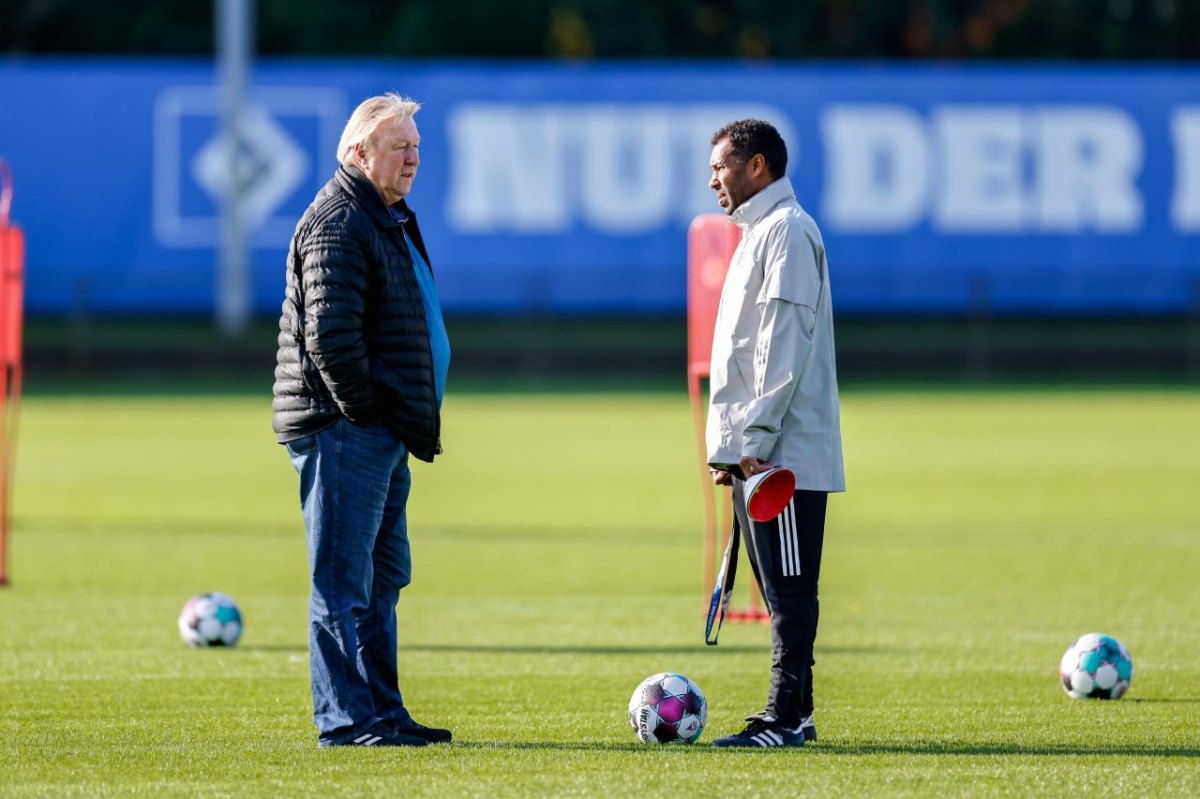 Hamburger SV Hrubesch Thioune