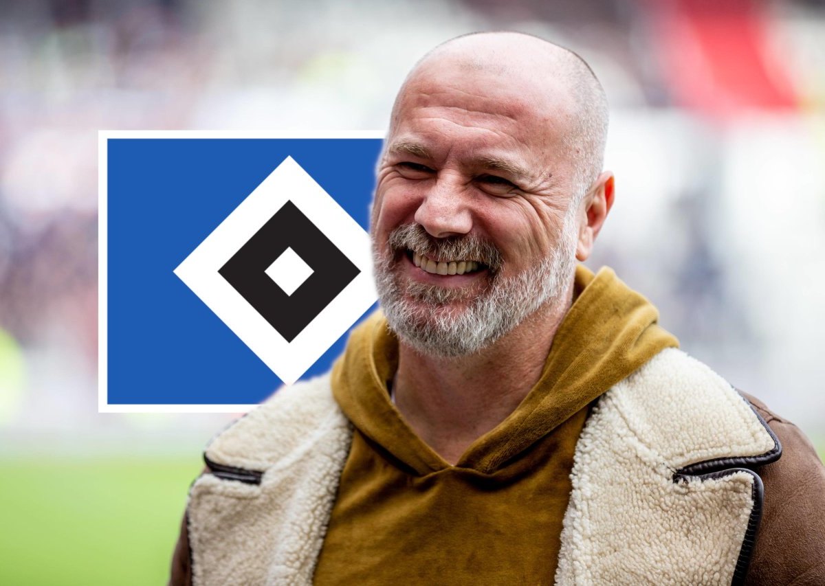 Hamburger-SV-Sergej-Barbarez