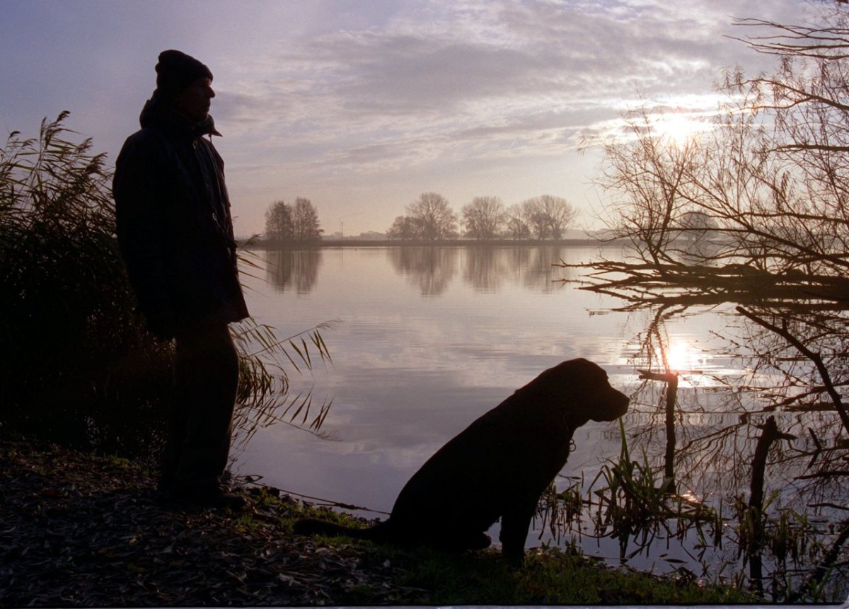 Hund in Hamburg Naturschutzgebiet.jpg