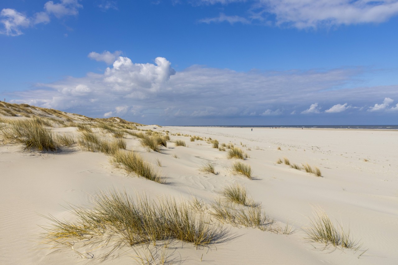 Während eines Spaziergangs am Strand von Juist hat der Mann einen erstaunlichen Fund gemacht (Symbolbild). 