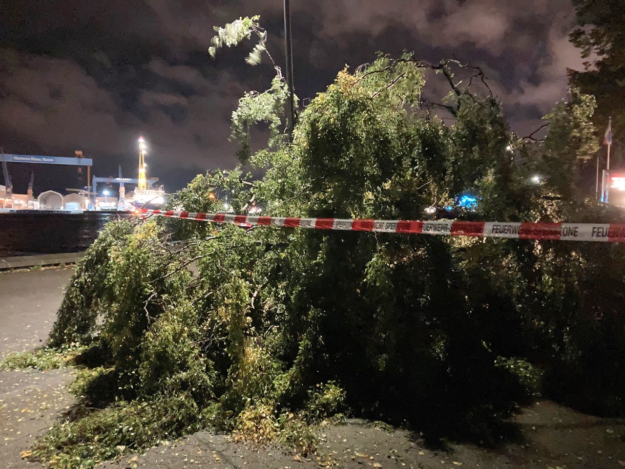 Der Tornado in Kiel sorgte unter anderem für umgestürzte Bäume. 