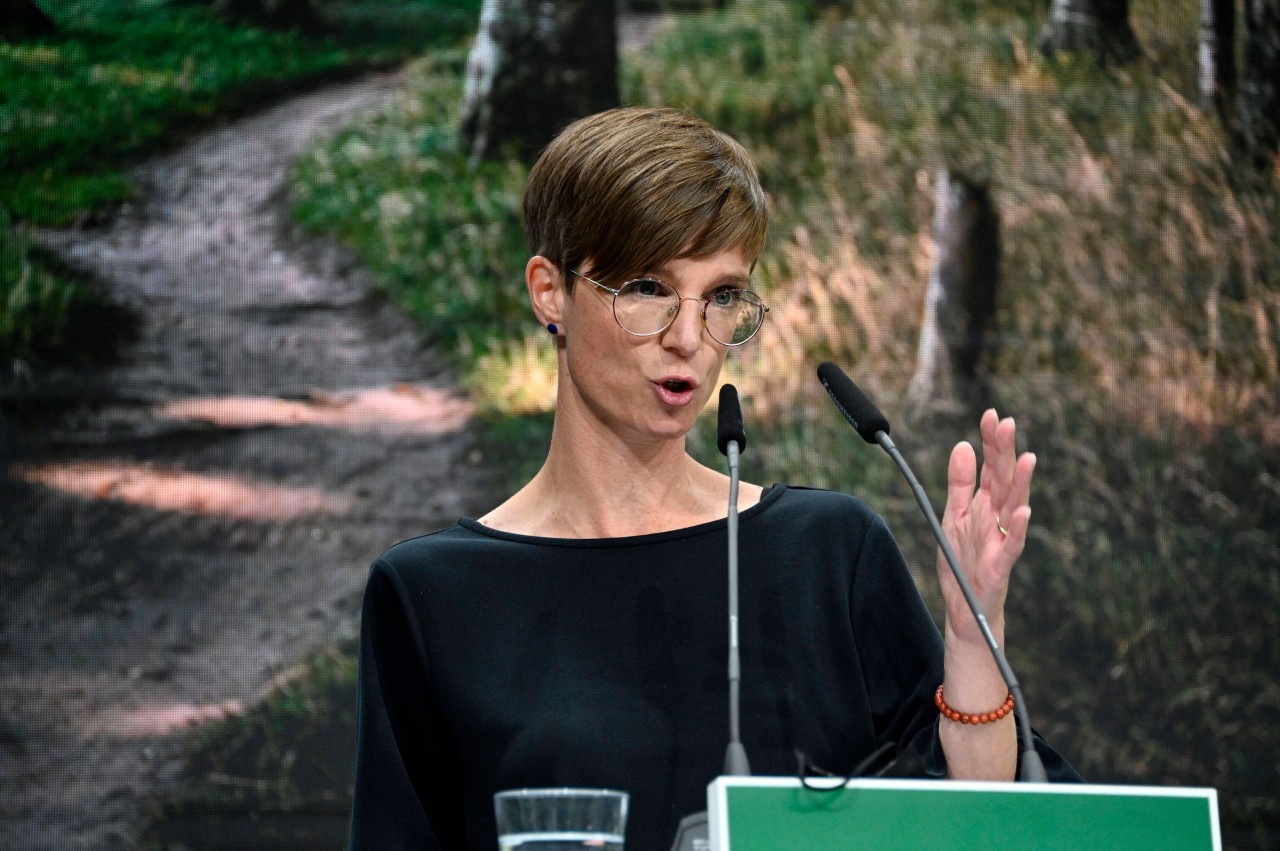 Anne Shepley, Grüne-Spitzenkandidatin bei der Landtagswahl MV