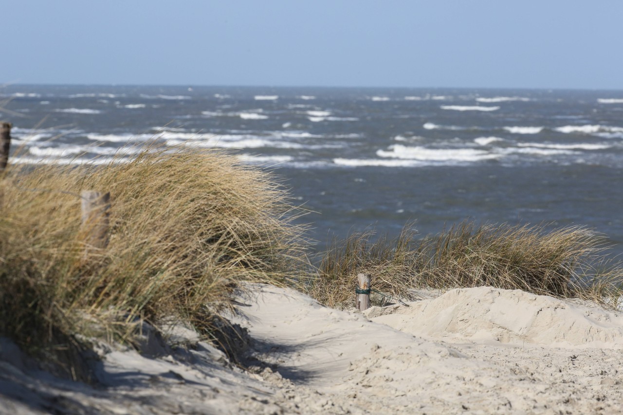 Ein empfindlicher und schützenswerter Ort an der Nordsee: Die Dünen, die besonders zu Sturmzeiten sehr empfindlich sind. 