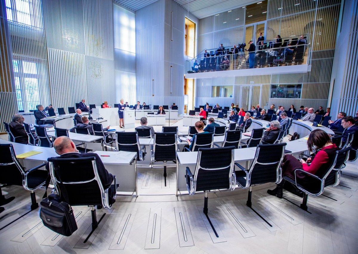 Mecklenburg-Vorpommern AfD Politiker Schwerin Landtag.jpg