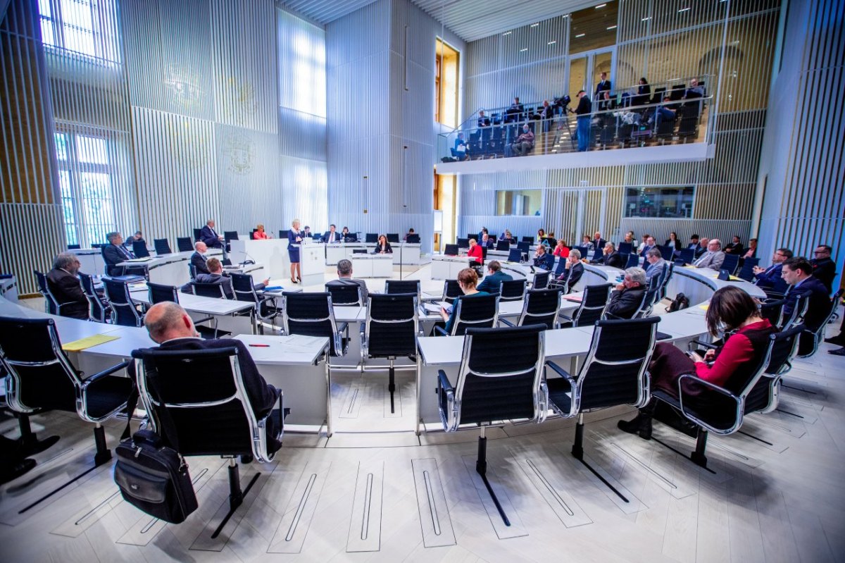 Mecklenburg-Vorpommern AfD Politiker Schwerin Landtag.jpg