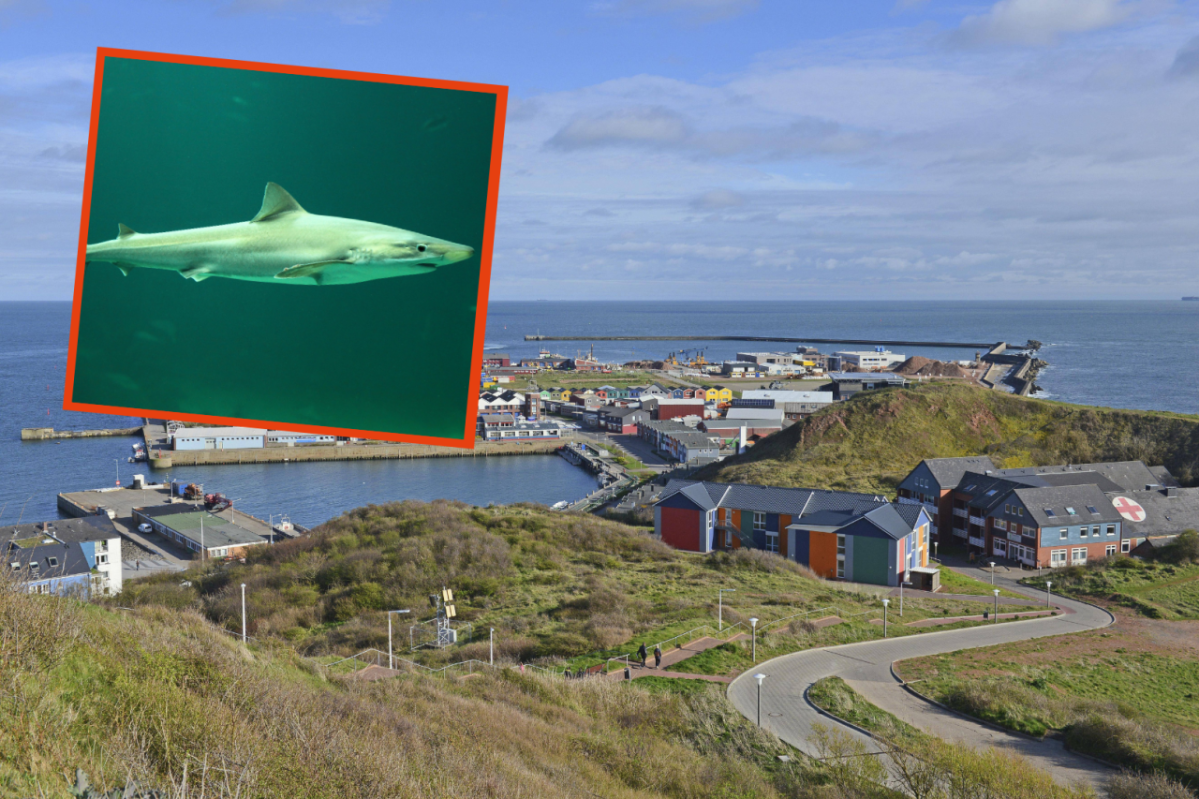 Meer Nordsee Helgoland