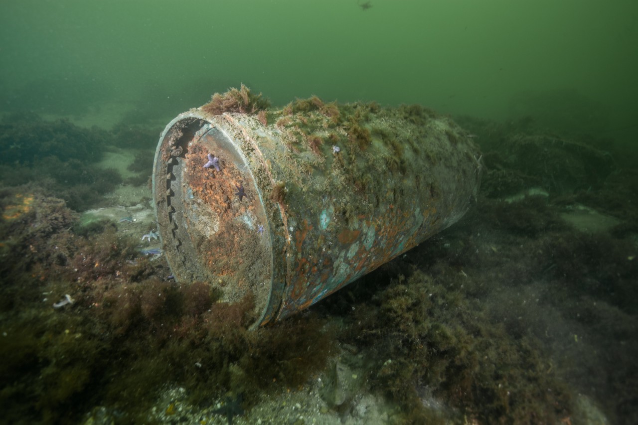 Ein Munitionskörper auf dem Boden der Ostsee.