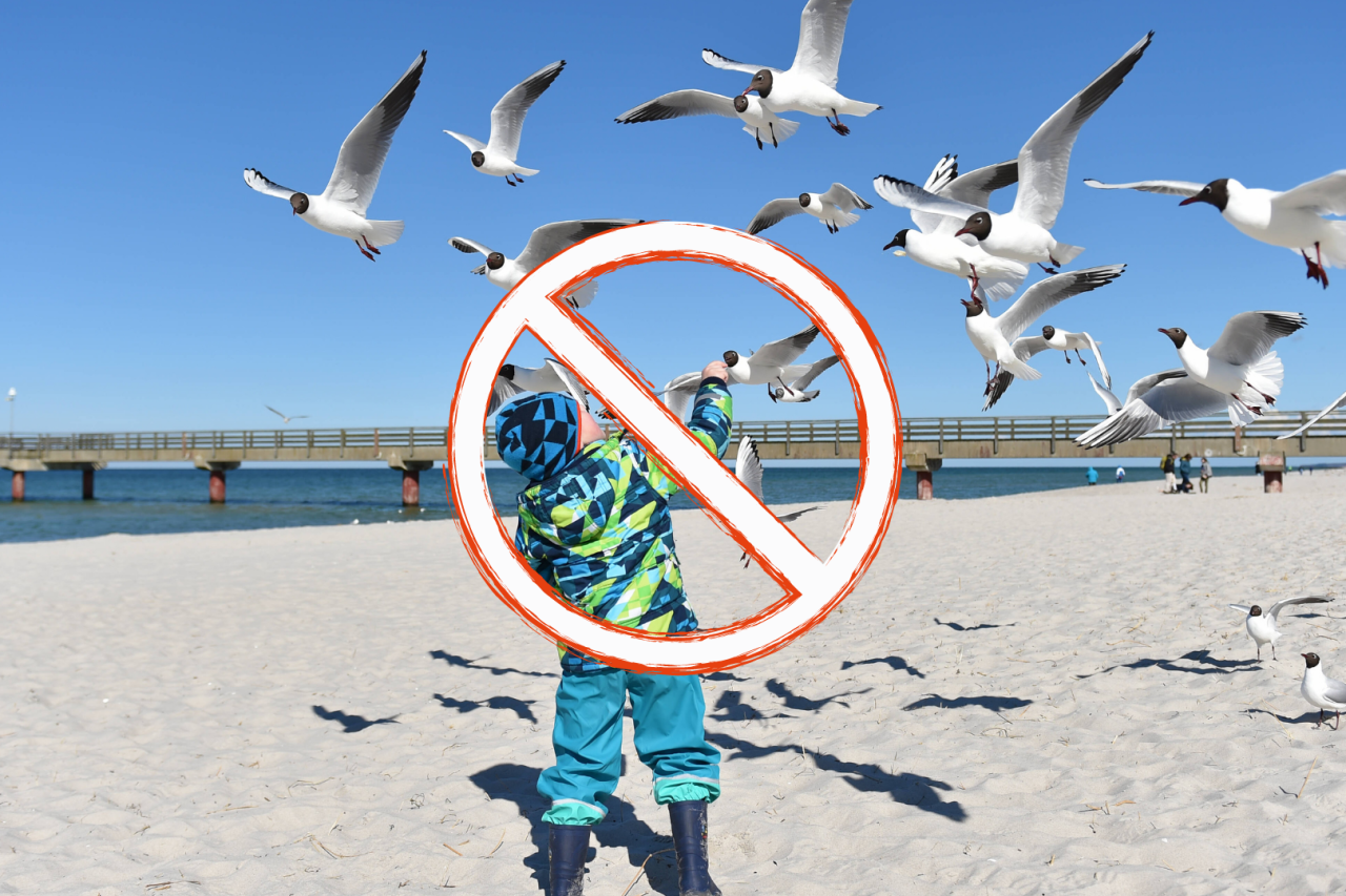 Wer an den Strand fährt, sollte einige Regeln beachten. 