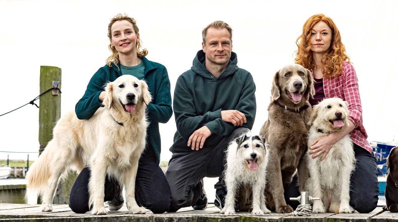 Hannah Wagner (Jana Klinge, l), Hauke Jacobs (Hinnerk Schönemann) und Jule Christiansen (Marleen Lohse) mit tierischen Darstellern (undatiertes Handout) spielen in dem Krimi „Nord bei Nordwest“. 