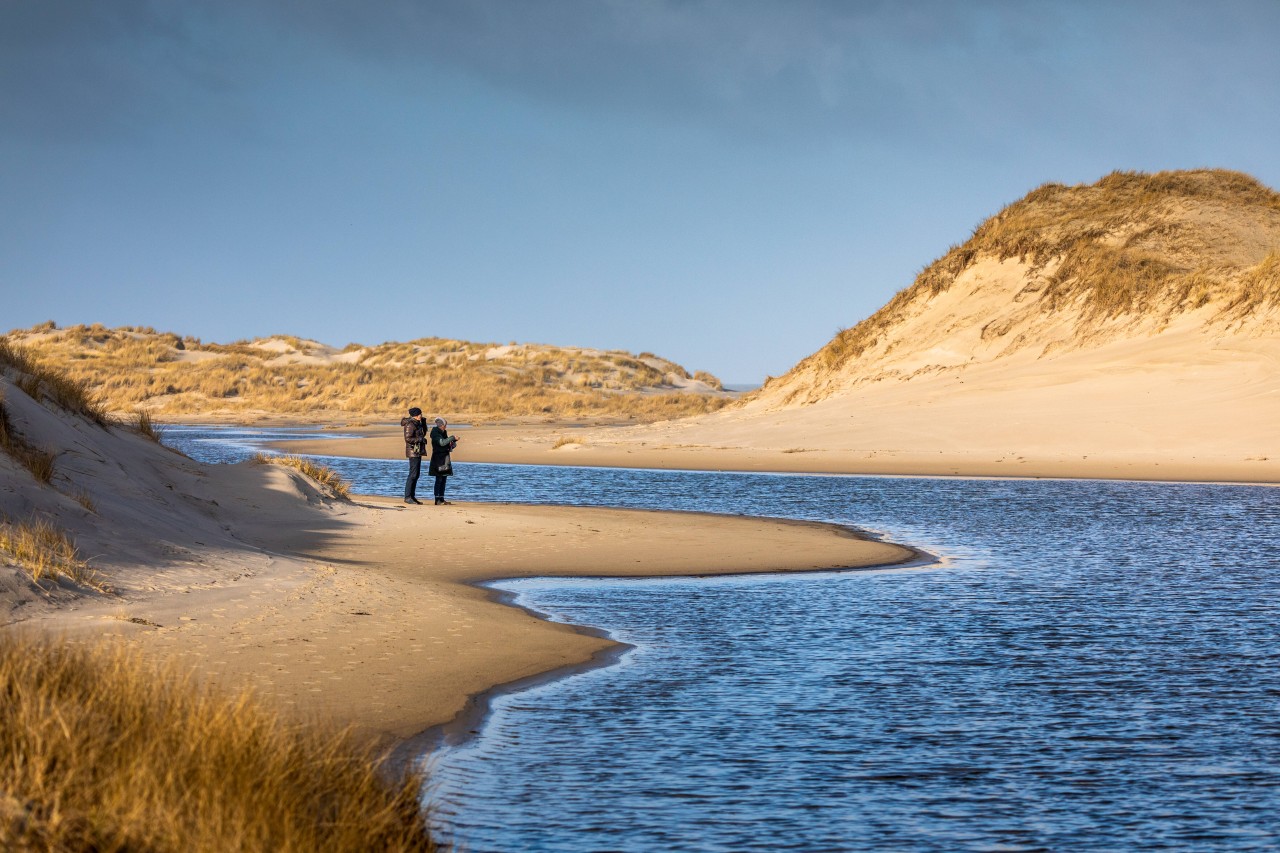 Spaziergänger in den Dünen von Norderney im Winter (Symbolfoto).