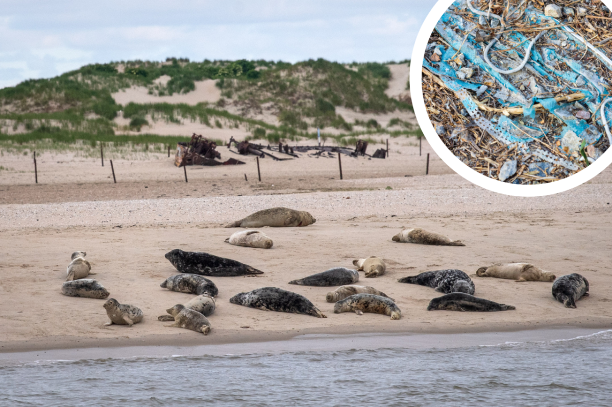 Norderney Nordsee Watt Welten Wattenmeer Umweltschutz Masken Müll Mund-Nasen-Schutz