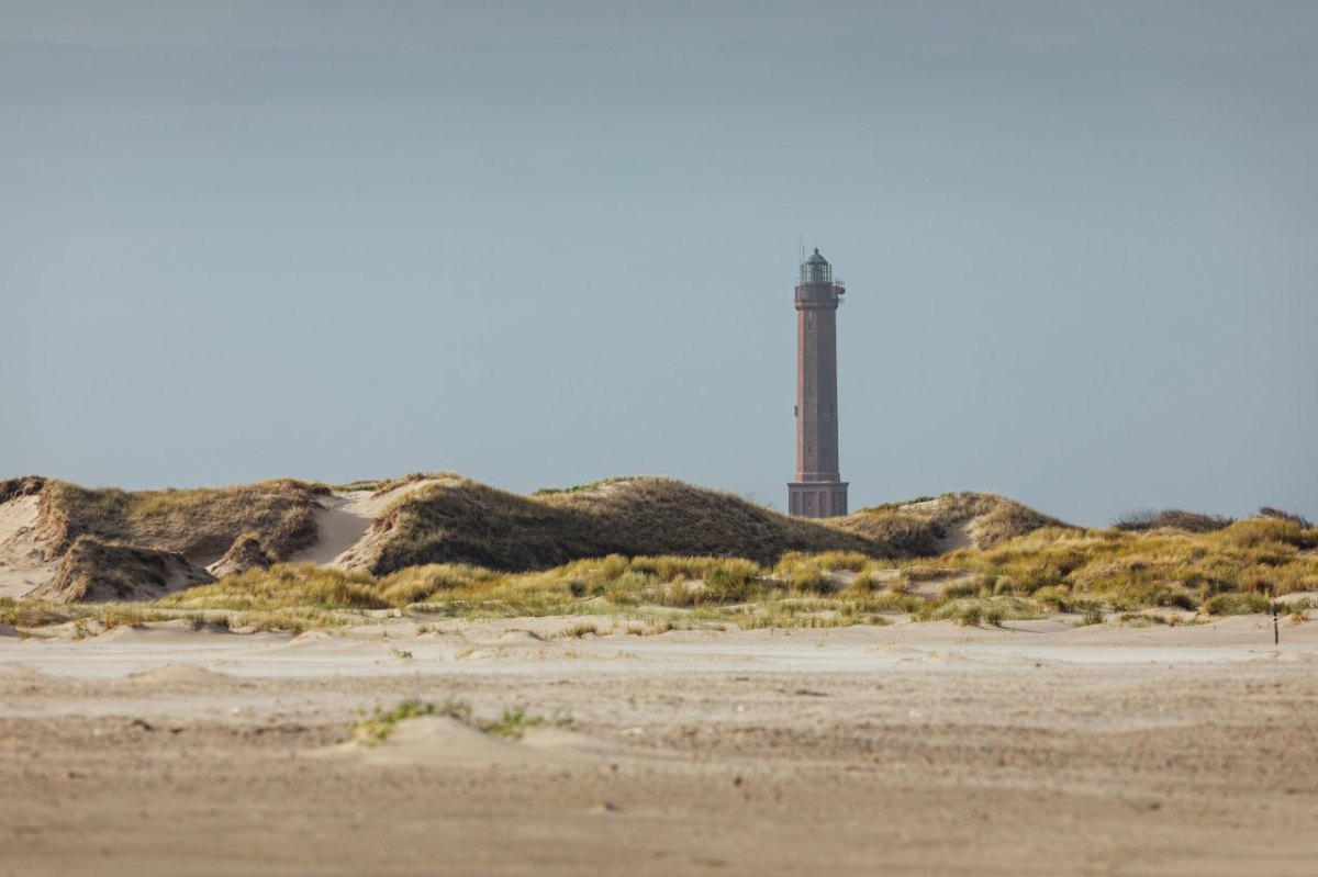 Norderney Schlafstrandkorb Nationalparkgesetz Naturschutzbehörde
