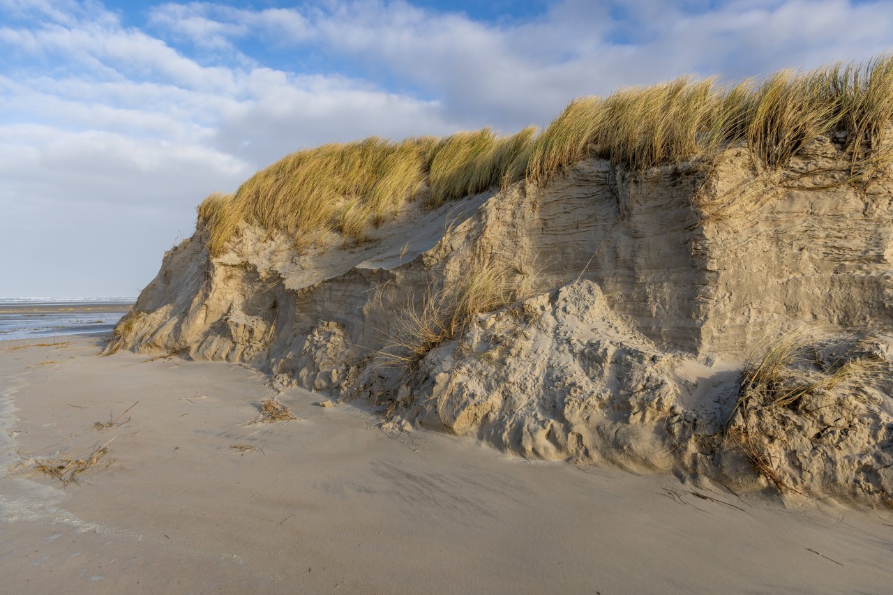 Am Strand von Norderney werden oft Dinge angespült oder durch Strandsand freigestellt. Aber selten kommen solche dunklen Erinnerungen damit zum Vorschein (Symbolbild).