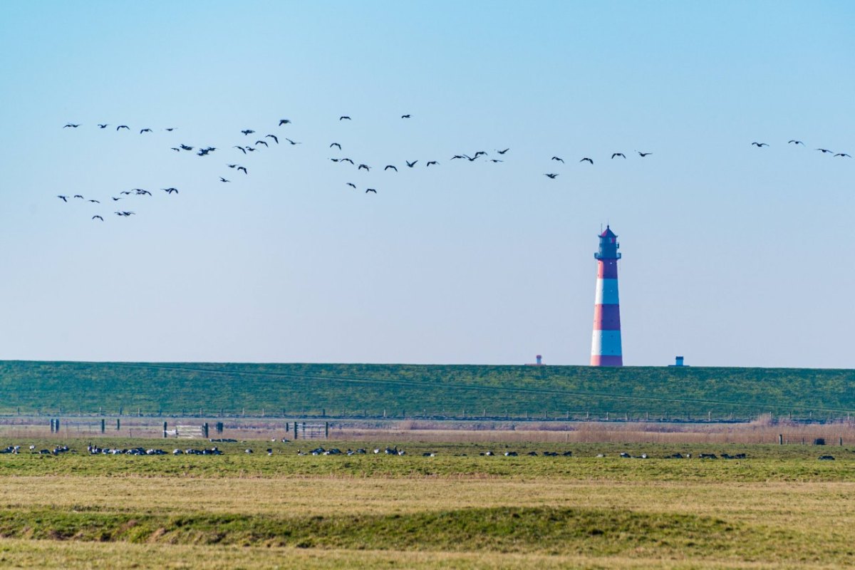 Nordsee.jpg