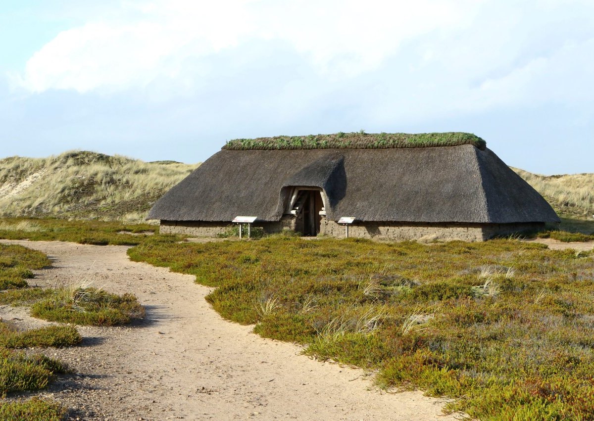 Nordsee Amrum Sylt Nordfriesland