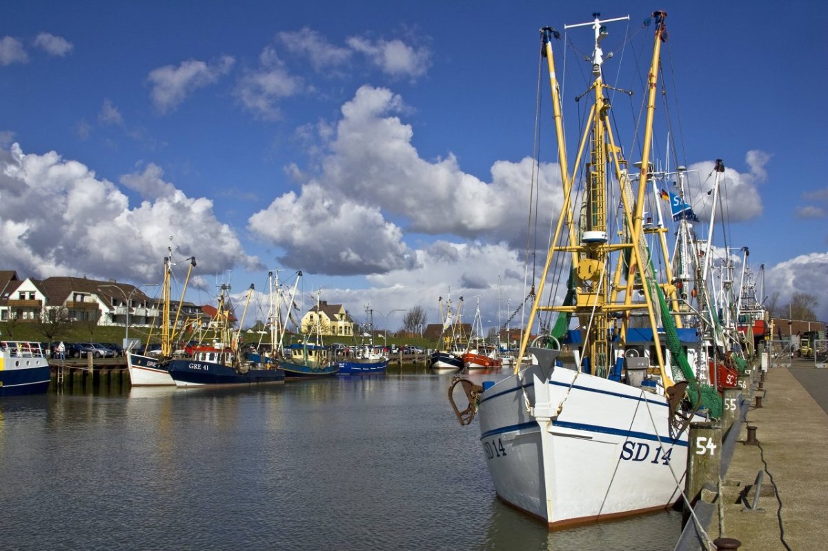 Nordsee Brexit Großbritannien EU Julia Klöckner Fischerei Hering Makrele
