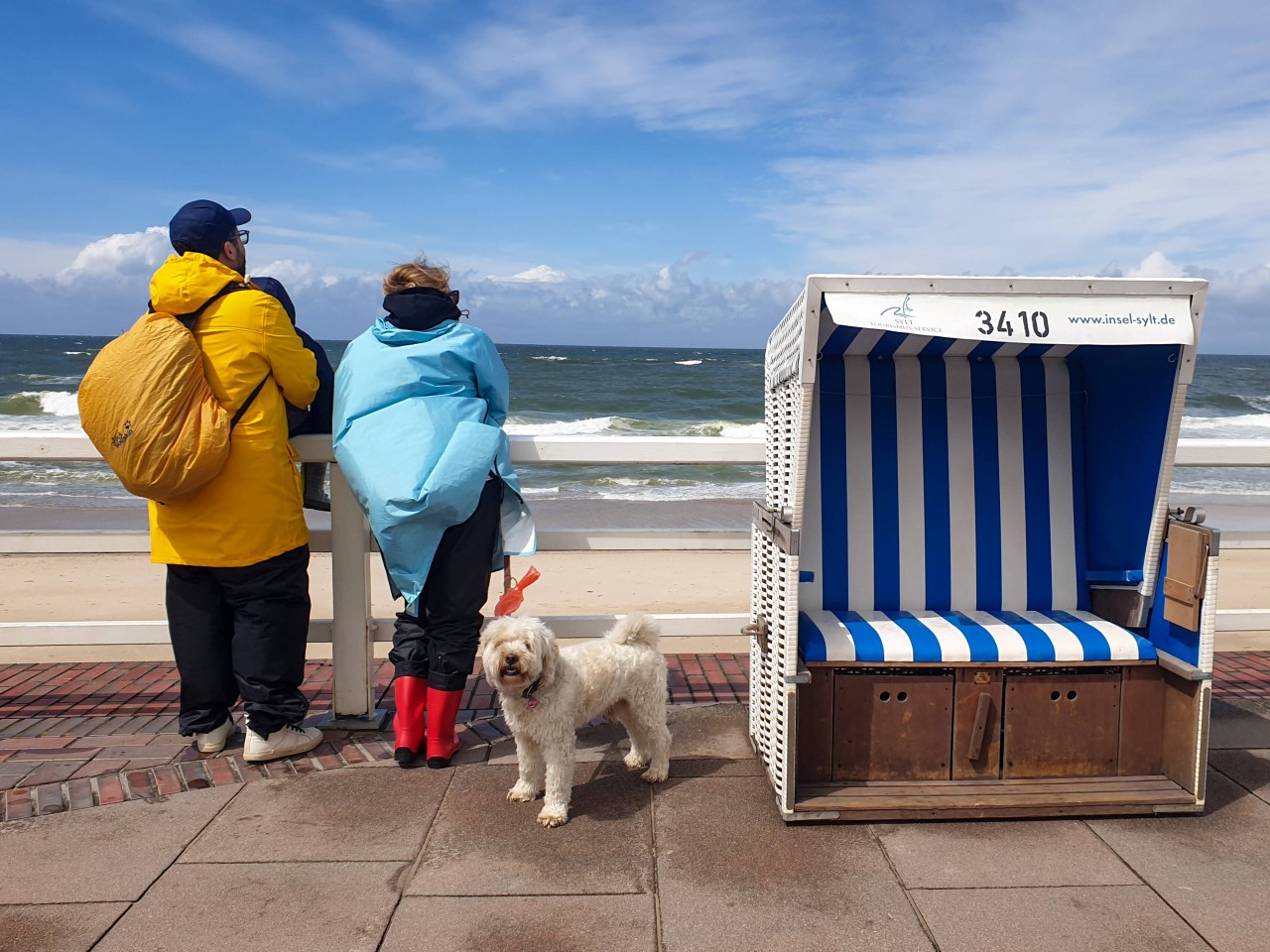 Wer seinen Hund mit an die Nordsee nehmen will, muss ein paar Regeln beachten.