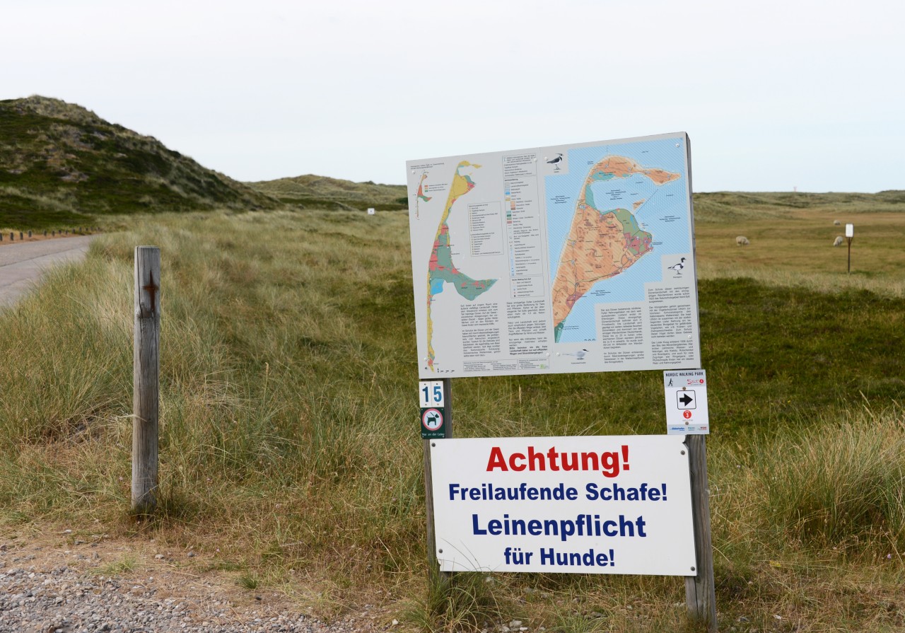 Leinenpflicht in List auf Sylt.