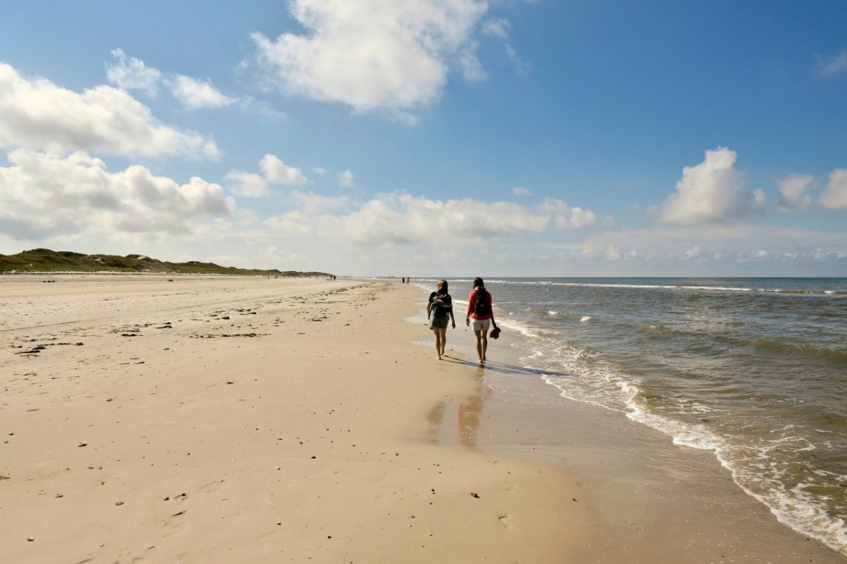 Nordsee-Insel Amrum Strand Kniepsand Zigaretten Natur News Urlaub Gäste