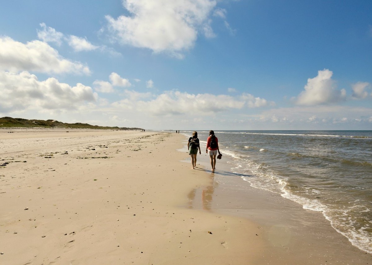 Nordsee-Insel Amrum Strand Kniepsand Zigaretten Natur News Urlaub Gäste