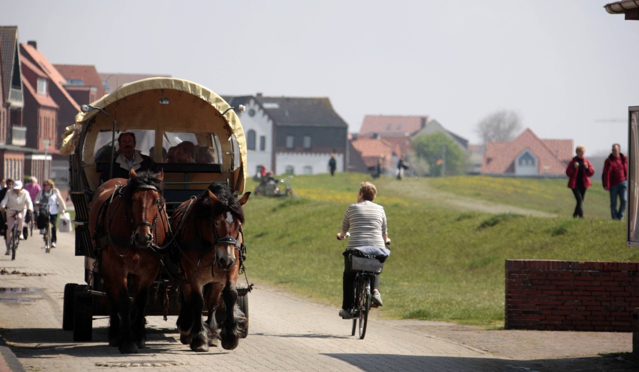 Juist ist autofrei. Auf der Nordsee-Insel ist man entweder zu Fuß, mit dem Fahrrad oder per Pferdekutsche unterwegs.