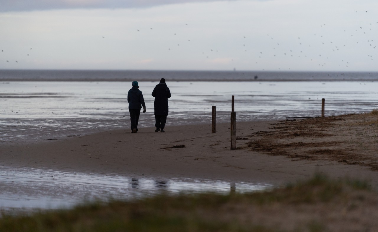 Wer im neuen Jahr an die Nordsee oder Ostsee fahren will, den erwarten düstere Aussichten.