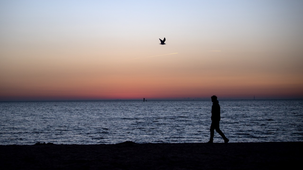 Ein Spaziergänger an der Nordsee.